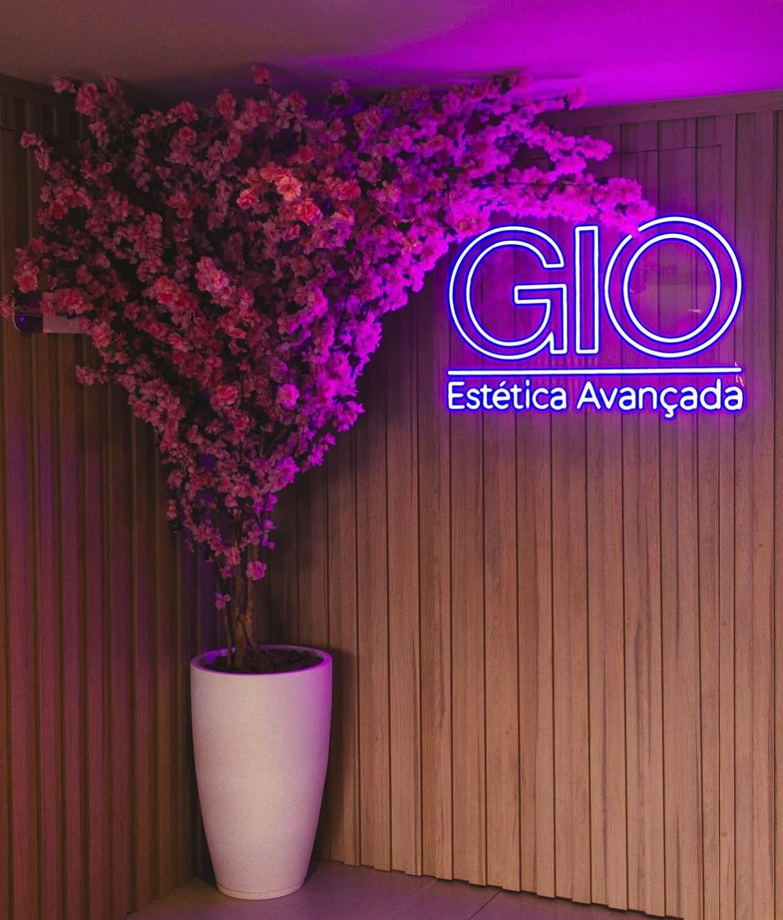 GIO Estética Avançada